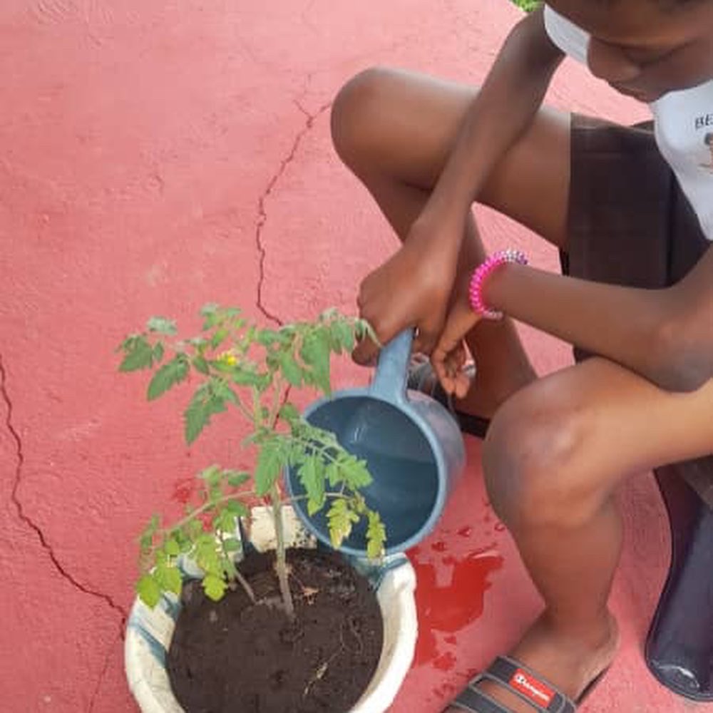 gh_eco's tweet photo. Members of the Eco-Schools club at Akosombo Int. School (AIS) are undertaking a vacation project aimed at increasing plant life in line with SDG 15 LifeOnLand. The pupils have collected used gallons, bottles and other waste containers as a way of using the 3Rs to manage waste. https://t.co/as3ZsyNIBQ