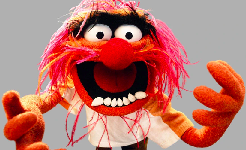QUIZ: Which Muppet Would Go on a Pity Date With You?: ow.ly/16Jr50KEKH4
