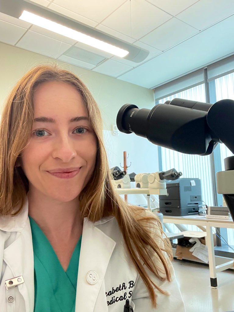 Elizabeth Bozner tweet media