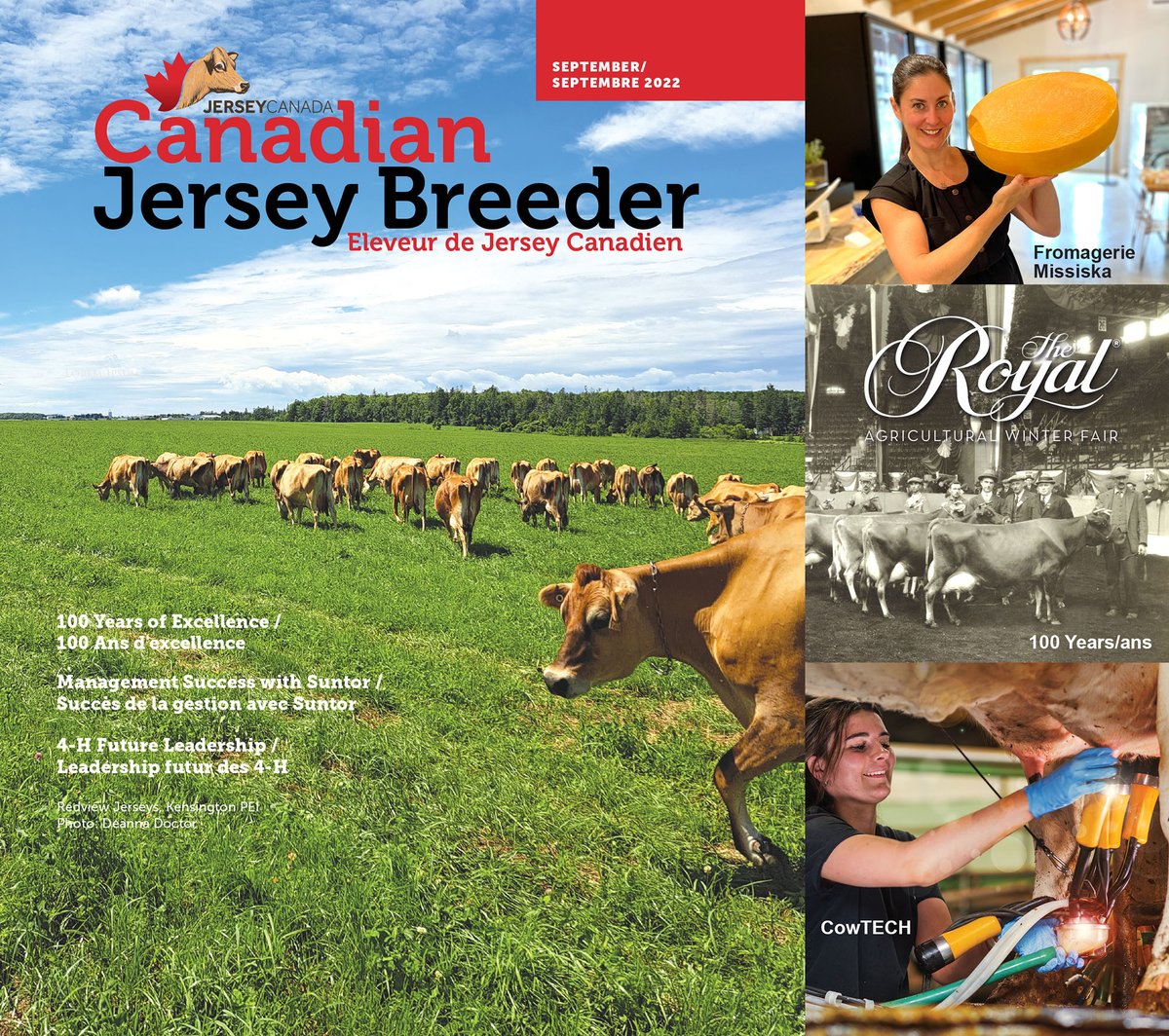 JerseyCanada's tweet photo. Arriving soon to subscribers, the Canadian Jersey Breeder magazine Sept issue! Visit https://t.co/2RNQCKhh95 to sign up.
•  •  •
Bientôt disponible pour les abonnés, le numéro de septembre de la revue l’Éleveur de Jersey Canadien ! Visitez https://t.co/hVAhQ67lJc https://t.co/F4no3qTiKB