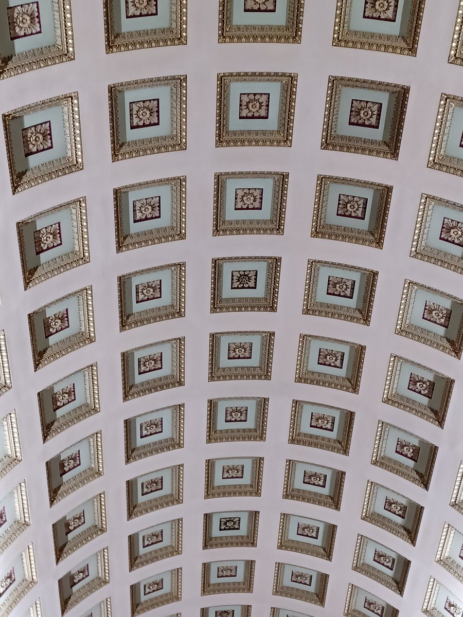 Celia Macintyre tweet media