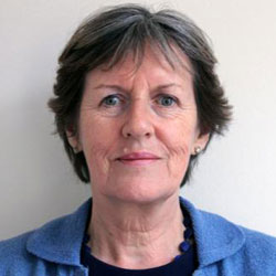 TheLabFAM's tweet photo. Our #LabFer @eufer_erc is less than 1⃣ week away‼️ Meet our 1st #keynotespeaker Mary Daly, Prof. of Sociology &amp; Social Policy,  @UniofOxford She has published widely on family policy; #genderequality; #socialcare; child poverty &amp; well-being; EU social policy; poverty &amp; welfare https://t.co/by5byBpjoD