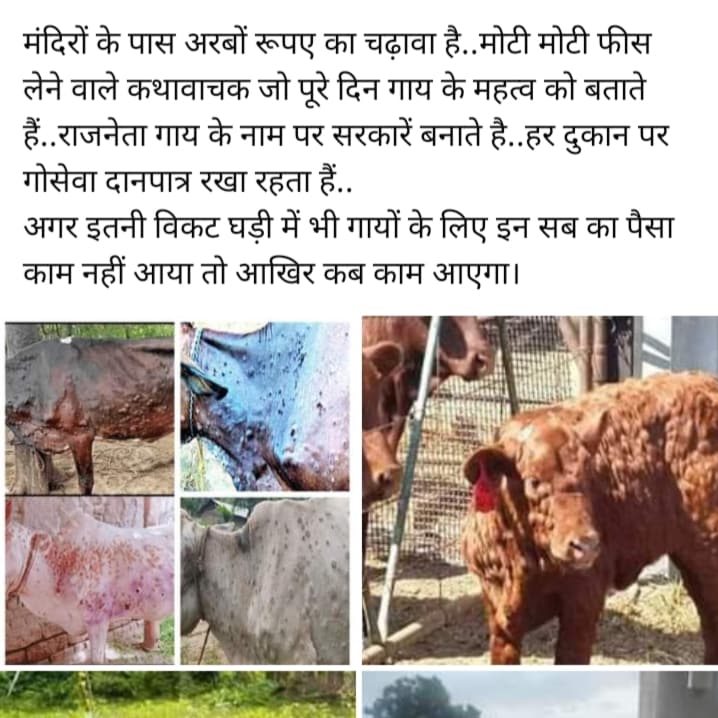 dksbhati's tweet photo. #Share_post @narendramodi @myogiadityanath @RSSorg @ZeeNews @aajtak @indiatv @SachinPilot https://t.co/ynVzKwlfRj