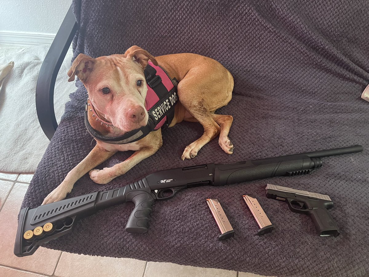 toomajor187's tweet photo. All the protection we need over here!! I finally got all my weapons back. I promise not to get in any more trouble.. 😂😩 #TooMajor #MajorFacts #SW #SD9 https://t.co/U2tdYbnhOZ