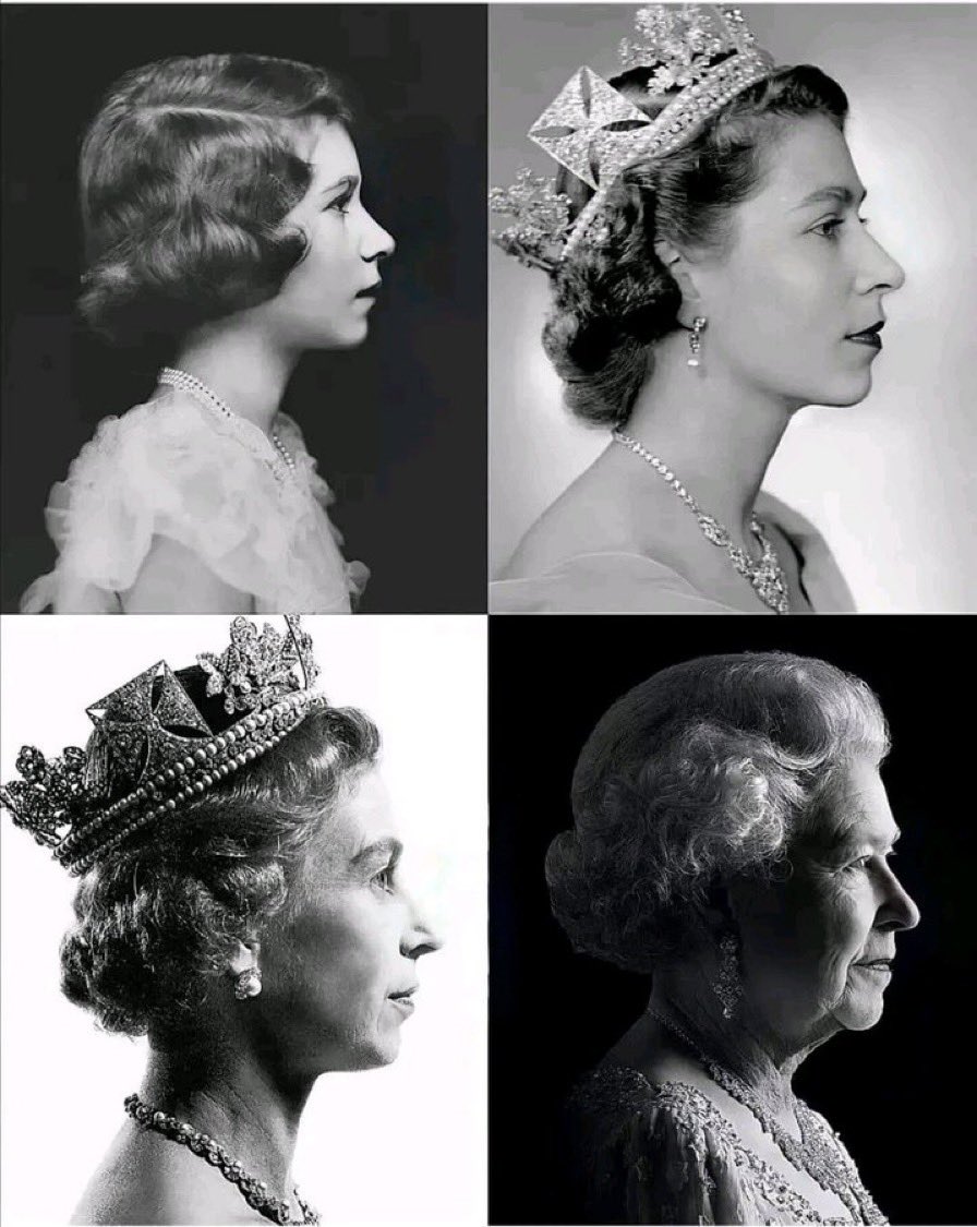 👑