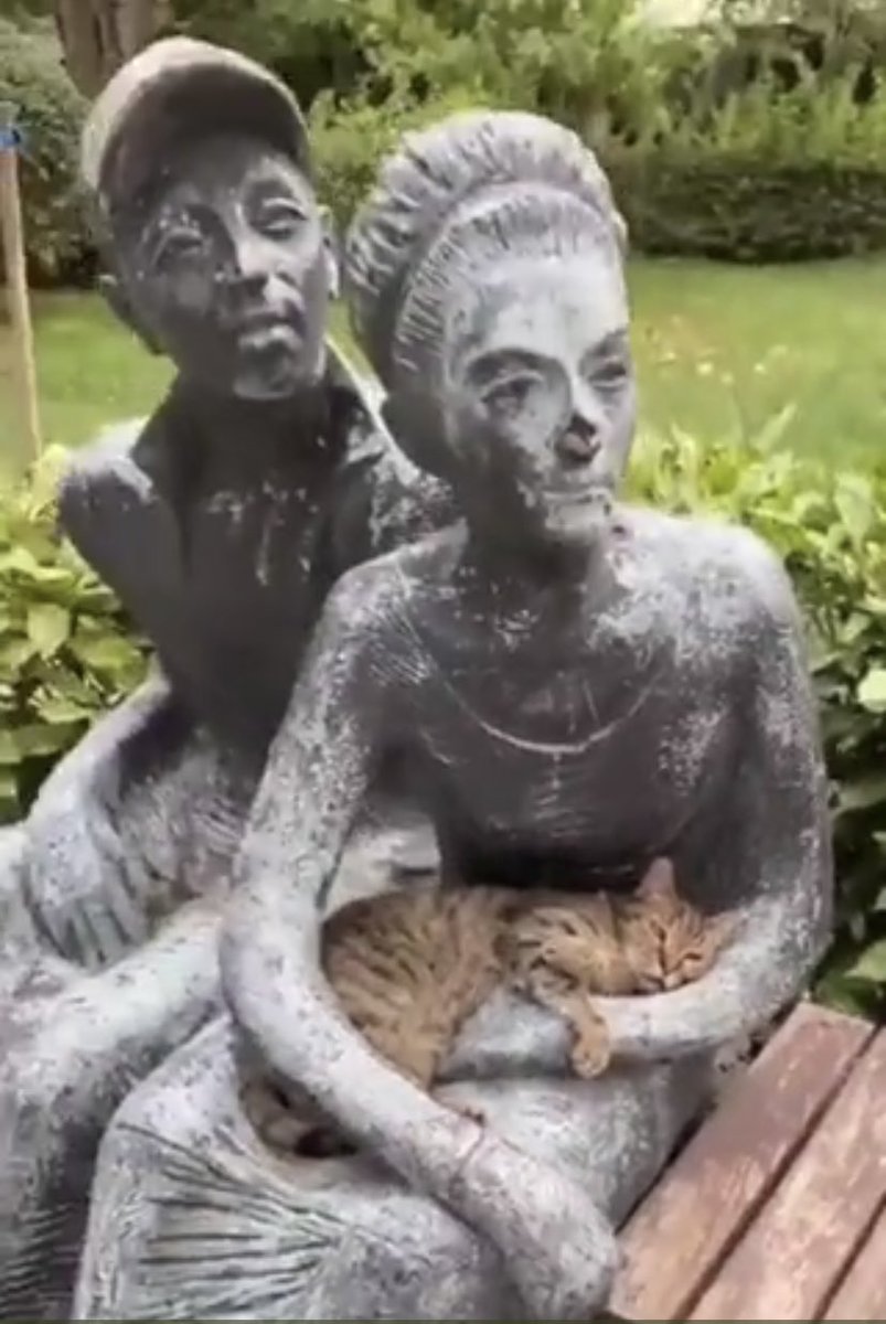 's tweet image. My favorite place in the world is in a lap. It’s important to have a dream to strive for daily. It does come true.