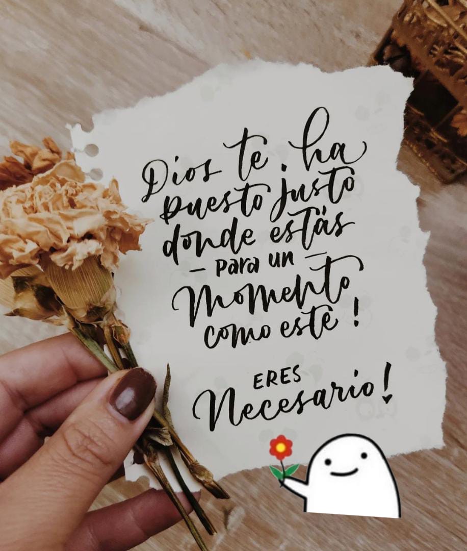 Y yo así lo creo 🙌🏻🌻🍃