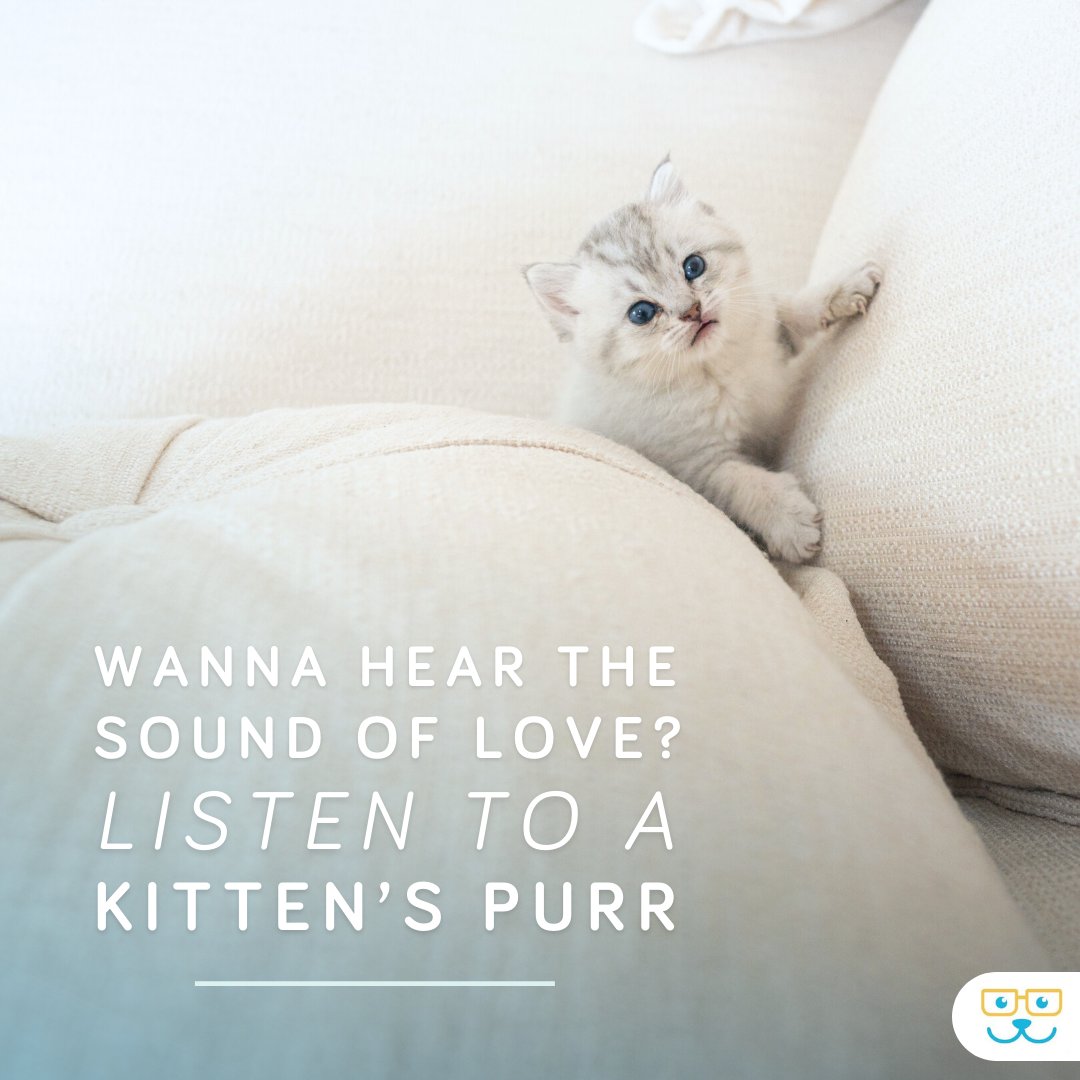 The sweetest sound ever. 💕