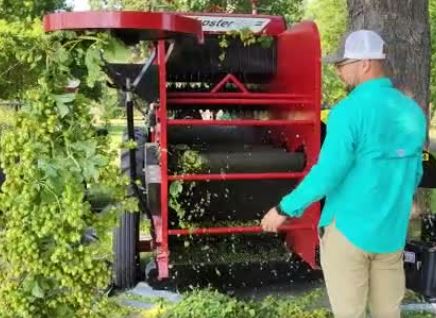 University of Nebraska PAT Lab (@unlpatlab) on Twitter photo Hops Harvest 2022 is underway at <a href="/wcreec/">West Central Research and Extension Center</a>. PhD student <a href="/milos_unl/">Milos Zaric</a> is researching herbicide applications in the alternative crop. #hops #IANR #UNL #weedscience fb.watch/fpUOEZXQjy/ Hops Harvest 2022 is underway at <a href="/wcreec/">West Central Research and Extension Center</a>. PhD student <a href="/milos_unl/">Milos Zaric</a> is researching herbicide applications in the alternative crop. #hops #IANR #UNL #weedscience fb.watch/fpUOEZXQjy/