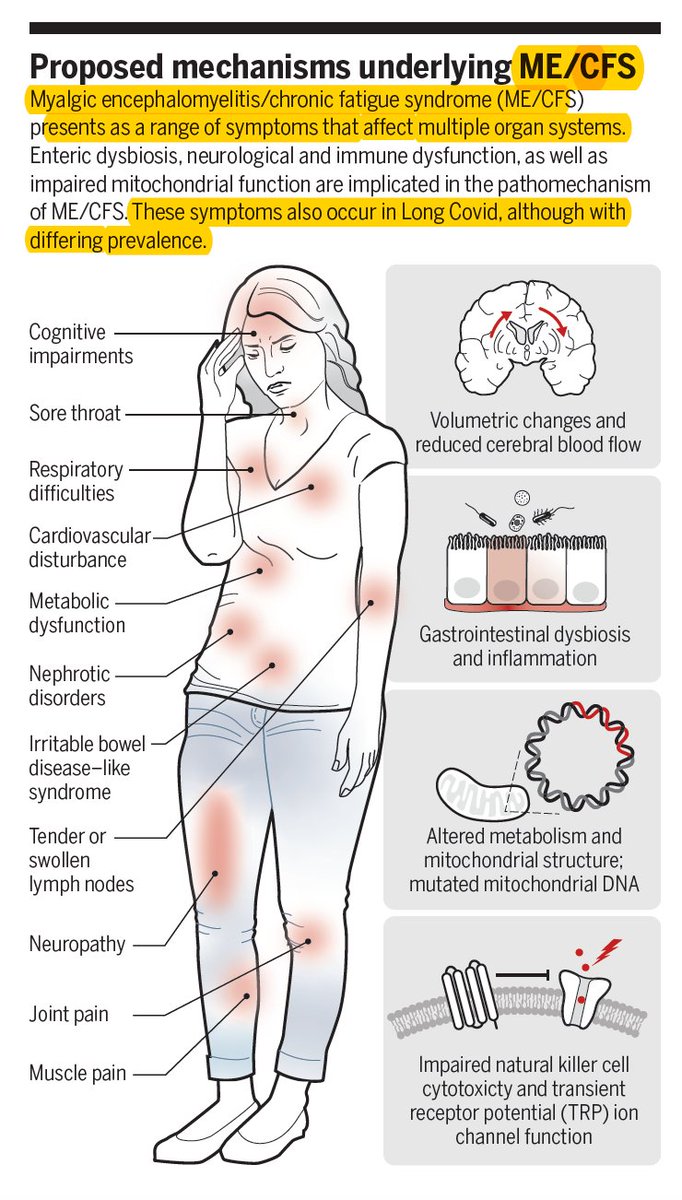 Eric Topol (@erictopol) on Twitter photo Excellent, succinct review of myalgic encephalomyelitis (ME/CFS) and its overlapping features with #LongCovid
<a href="/ScienceMagazine/">Science Magazine</a>
science.org/doi/10.1126/sc⦠Excellent, succinct review of myalgic encephalomyelitis (ME/CFS) and its overlapping features with #LongCovid
<a href="/ScienceMagazine/">Science Magazine</a>
science.org/doi/10.1126/scā¦