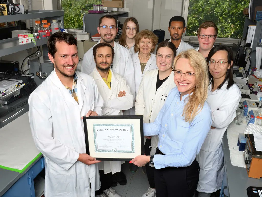 .<a href="/BerkleyW6/">Berkley Walker</a>'s lab was acknowledged by <a href="/EHSatMSU/">MSU EHS</a> as part of the inaugural Laboratory Safety Recognition Awards. “Lab safety is important because it allows people to focus on what they need to do in the lab without worrying,” said lab manager Audrey Johnson. buff.ly/3AYgoIZ