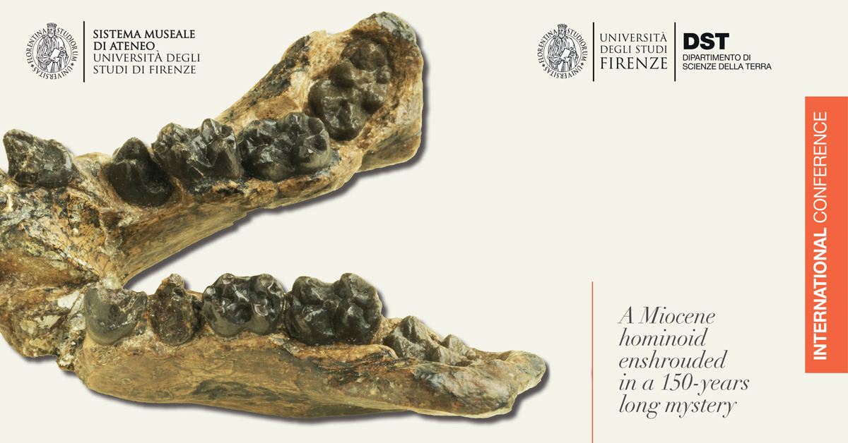 Dstunifi's tweet photo. 🗣 20 e 21 Ottobre |  #Oreopithecus150: il convegno internazionale, organizzato dal Sistema Museale di Ateneo insieme al DST UNIFI
👥 Ingresso gratuito per studenti e studentesse

Informazioni e iscrizioni 👉 oreopiteco150@sma.unifi.it
#unifi #studiaregeologiafirenze #DSTUNIFI https://t.co/KyJicQlp33