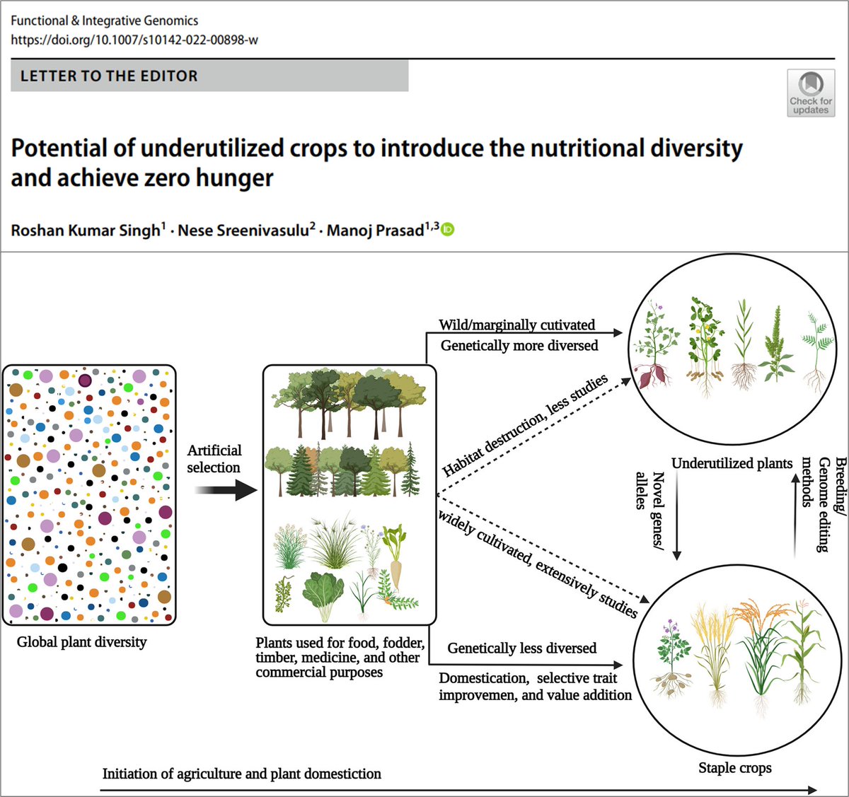 We are happy to share our recent article on ‘Potential of underutilized crops to introduce the nutritional diversity and achieve zero hunger’ published in ‘Functional &amp; Integrative Genomics’

Full-text: link.springer.com/article/10.100…

<a href="/NIPGRsocial/">BRIC-NIPGR</a> <a href="/manoj_prasad70/">Manoj Prasad</a> <a href="/nipgr_roshan/">Roshan Kumar Singh</a>