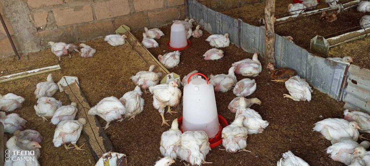 Ce matin Génération Saalih a reçu l’équipe du Pôle Emploi et Entrepreneuriat (Sénégal Service) de Louga dans nos locaux au Xidma Center. L’objectif de la visite est de définir un cadre d’accompagnement et de financement des bénéficiaires de nos programmes.