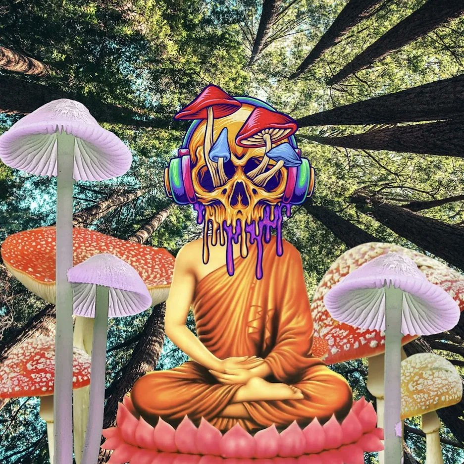 MastersofMedit1's tweet image. open3.com/projects/maste…
These Free to Mint NFTs are your buy into future utility being created with these.. fuck around and redeem a case of wine with your NFT on it? Maybe? Take your chances:) THEYRE FREE

#nft #web3 #open3 #artists #freetomint