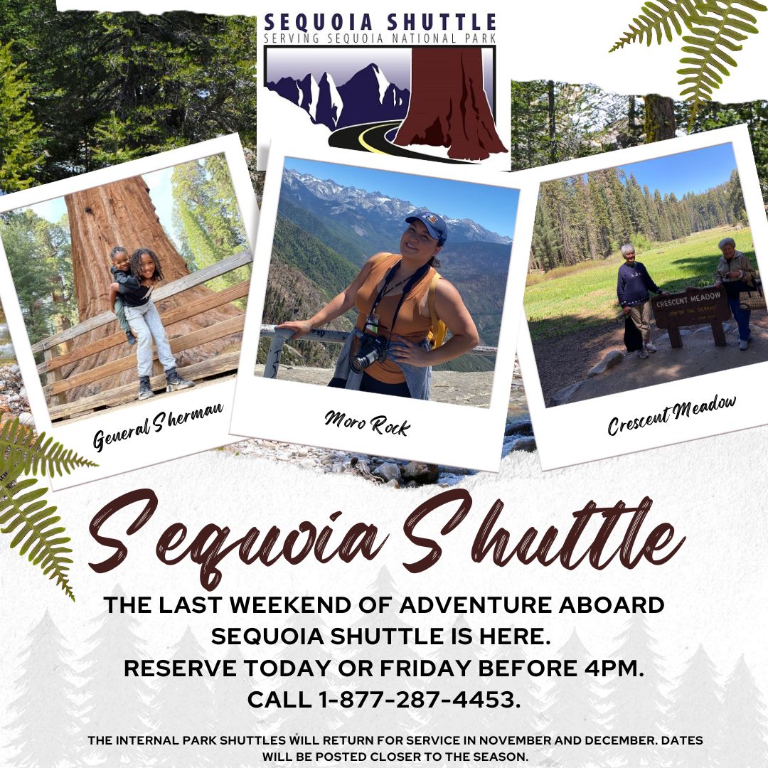 Sequoia Shuttle tweet media