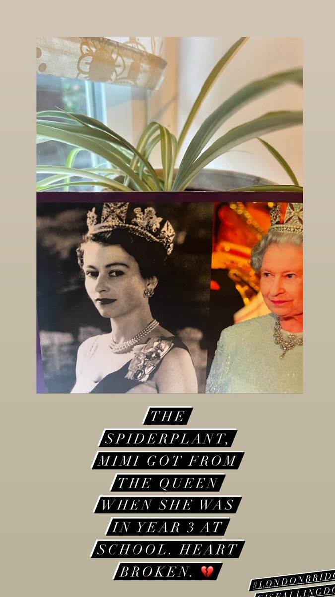 babblingonb's tweet photo. @RoyalFamily Heartbroken 💔 such a beautiful soul gone 😢 https://t.co/XTx4G0dRzq