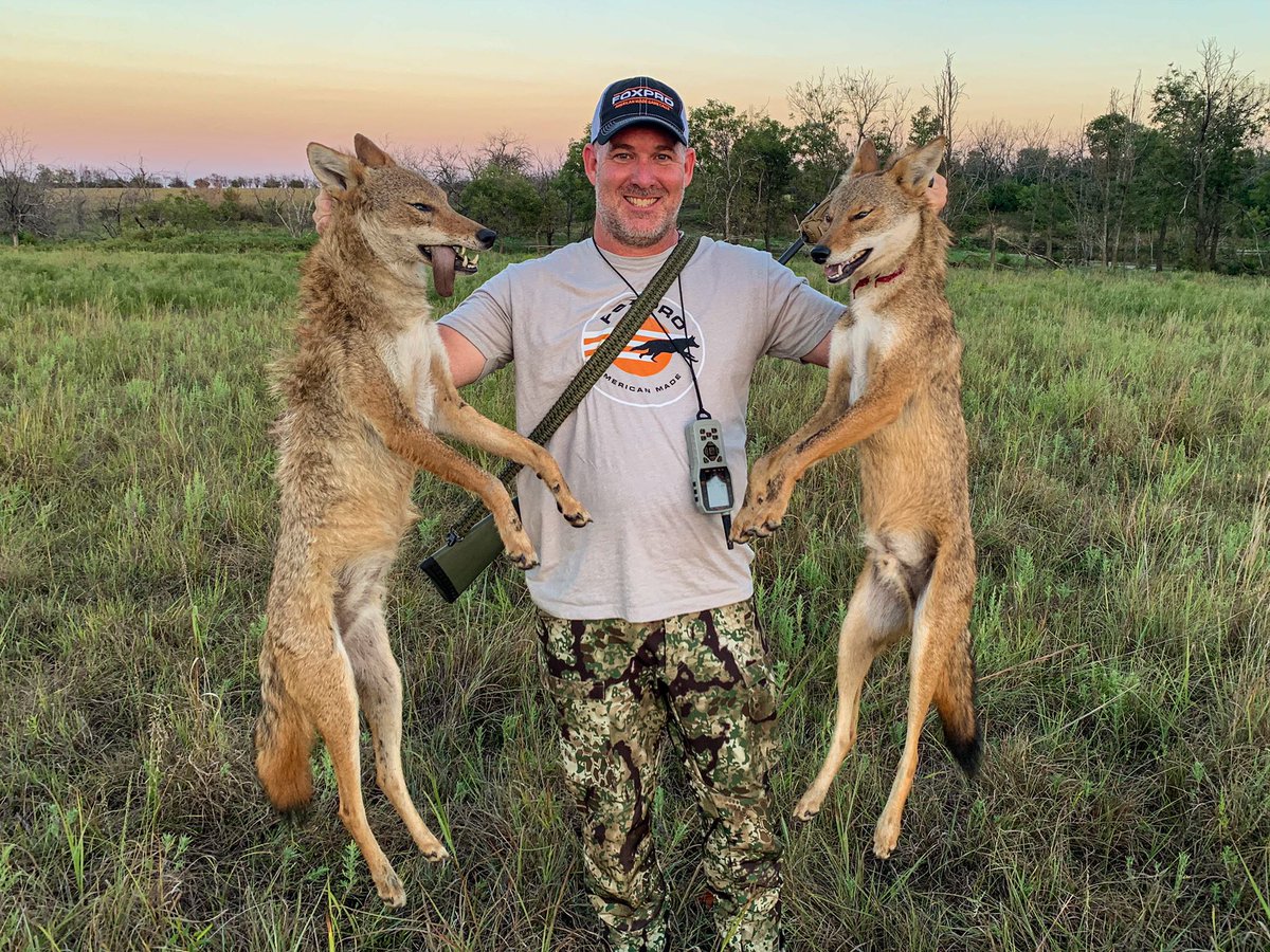 FOXPROInc's tweet photo. Double down for Jon Collins!!! This mouthy pair came in looking for a fight! #foxpro #coyotehunting #hunting https://t.co/7dd66uFqJf