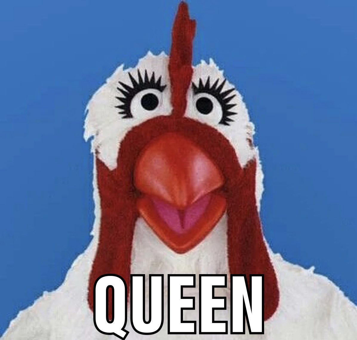 andystill's tweet image. 