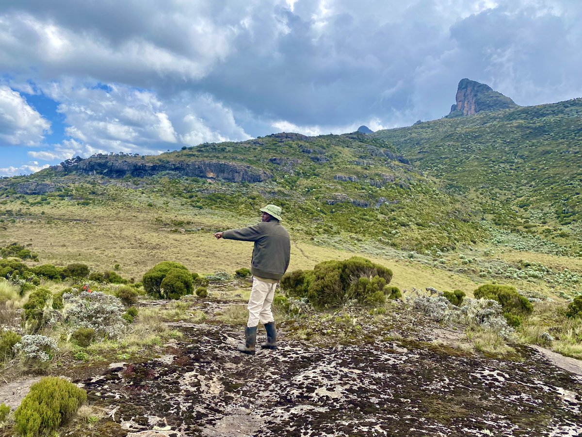 outdoorerke's tweet photo. We’re excited to pay tribute to Mother Kinangop one last time on the Southern Nyandarua traverse this weekend.
We’re more excited to introduce our #High90 advanced hikers to the grueling #Altomatum as they begin their journey to becoming knighted beast hikers!
Hey @IWalobwa! 🫡 https://t.co/rKPuLjl2dm