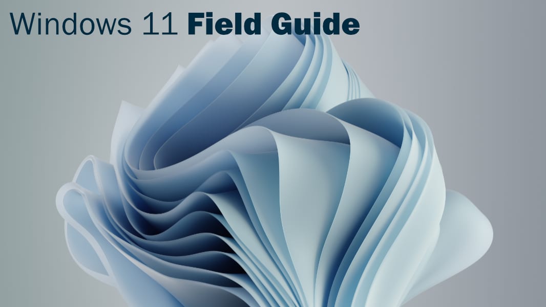 Thurrottfeed's tweet photo. Windows 11 Field Guide + Thurrott Premium https://t.co/emOQ460ZsQ https://t.co/kJC7MhTrH9