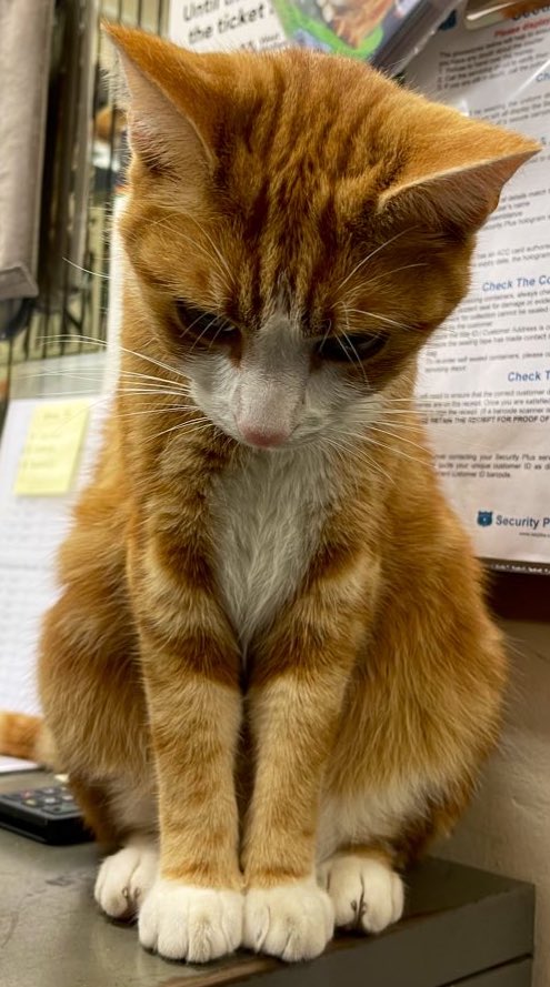 Thank you Ma’am 

Rest in peace, Your Majesty.

             🧡