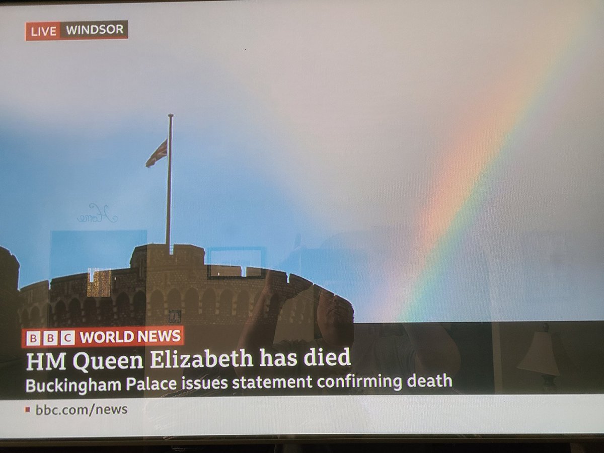 jeffgo33's tweet photo. The Rainbow Bridge has made an appropriate human exception. 👸🐕🌈 @dog_rates @darth @tine_theherd https://t.co/lmbjqjv5Kk