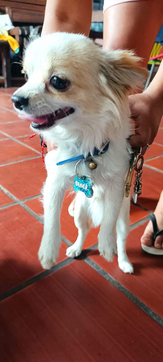 Oliver busca a su familia!!está resguardado en zona San Vicente.0981762260