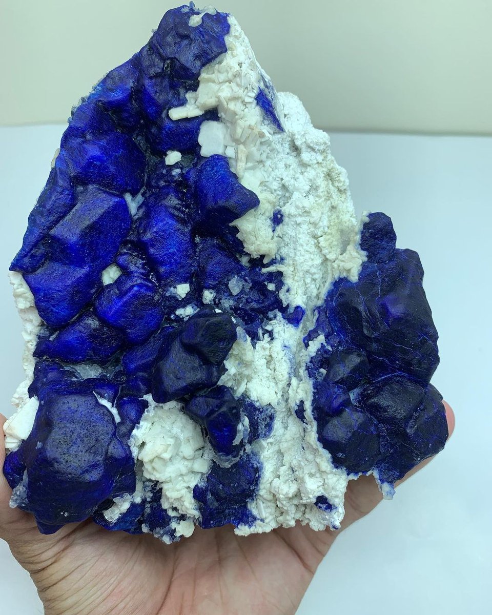 GeologyTime's tweet image. Gorgeous lazurite specimen from Badakhshan, Afghanistan.

Photo: Durrani Fine Minerals

#minerals #crystals