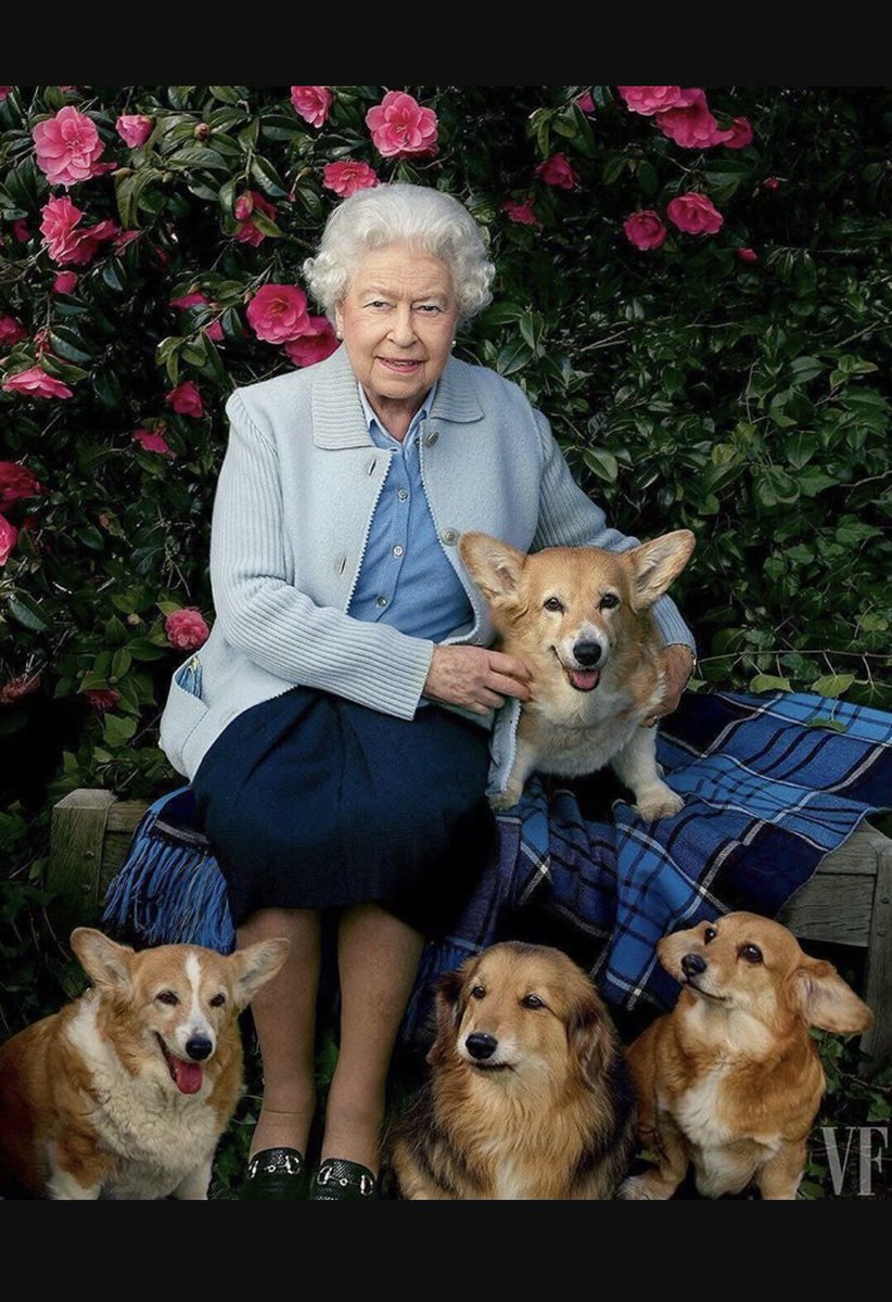 Inimitable. Irreplaceable.

The best friend corgis ever had 

Respect, gratitude, condolences