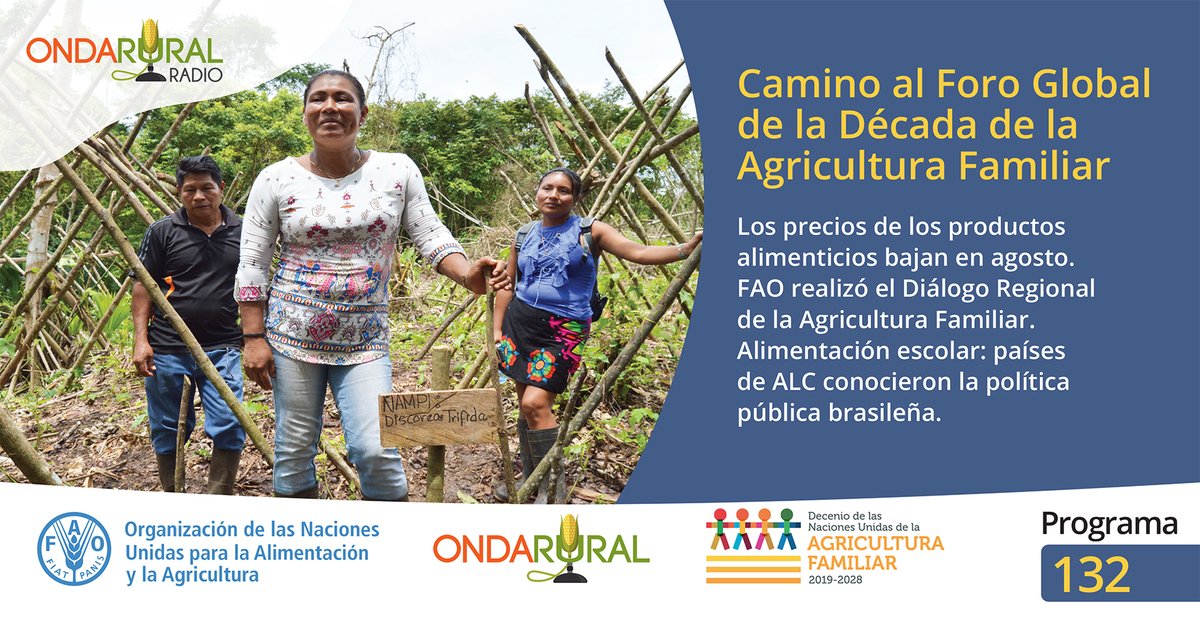 ondarural's tweet photo. 📣Al aire el #programa132 de #OndaRuralRadio🎙
🗣 #FAO realizó el Diálogo Regional de la #AgriculturaFamiliar👩🌾🧑🌾 en América Latina y el Caribe.
#EXPERIENCIA: Proyecto aporta al empoderamiento de las mujeres indígenas 👩🌾👩🌾en Costa Rica🇨🇷
🎧Escúchanos▶️ https://t.co/B0TJf5rs8C https://t.co/OO5eX38Rtt