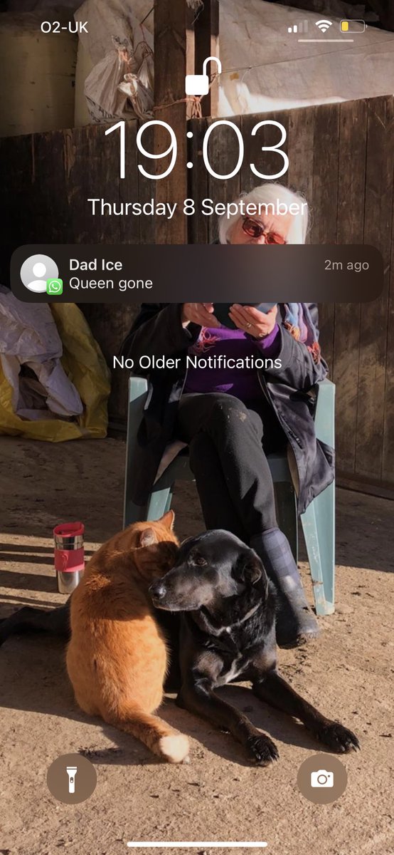 beccasutch_'s tweet image. Queen gone