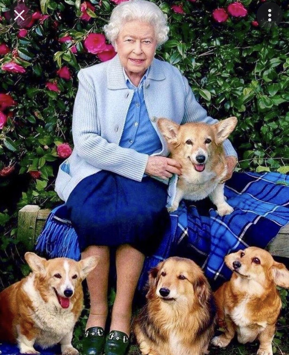 LumpyandFriends's tweet photo. We pay tribute to our Queen 👸 Thank you for all your service and commitment to our great country Rip 😞 https://t.co/hvMbMGzalf