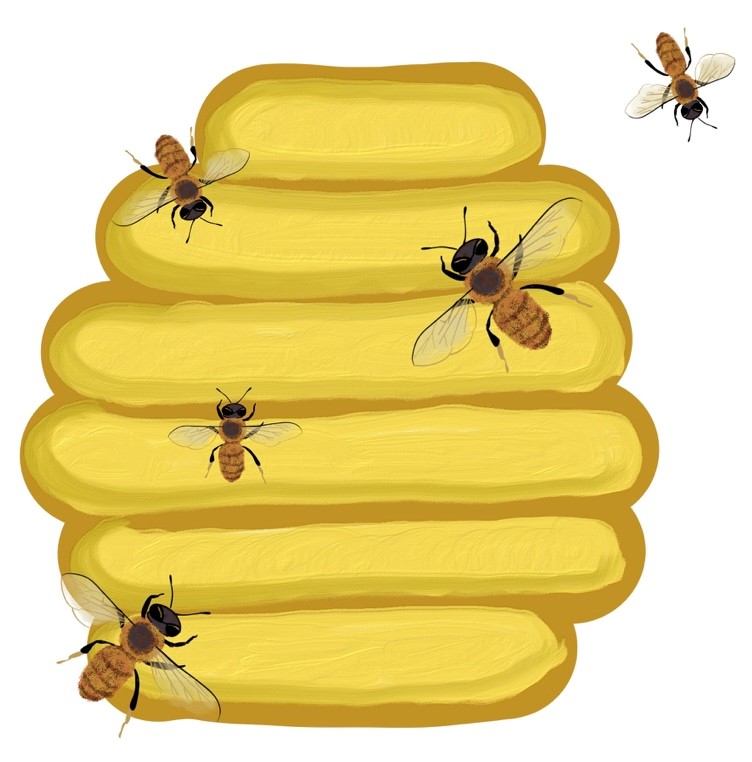 <a href="/1863nft/">1863</a> Featured Artist, <a href="/cozycookie222/">Rachel</a>, has been busy creating some fun #art 4 our genesis mint... 2 of 50 original pieces.. #WV's Official State Insect #Honeybee🐝 &amp; Animal - #BlackBear 🐻

discord.gg/8ketHBKqUH
instagram.com/1863nft/

#NFT #NFTartist #NFTCommumity #1863nft