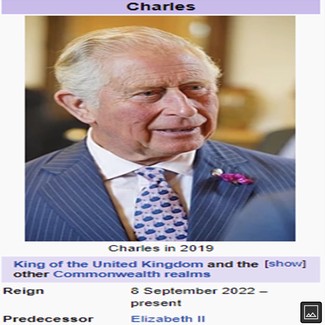 Wikipedia wastes no time!