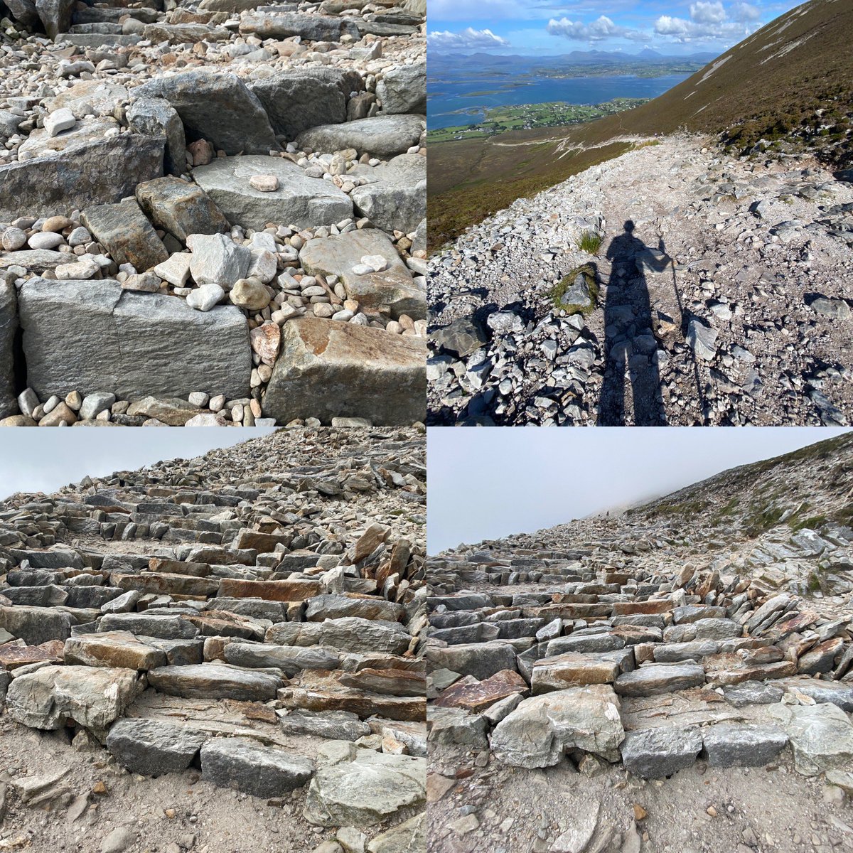 + Fintan Monahan tweet media