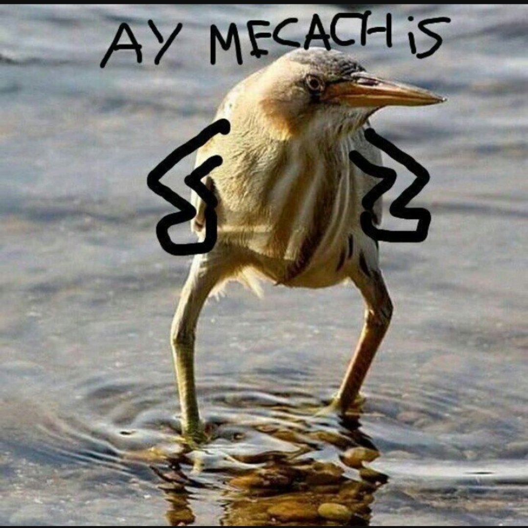 Crisrg_7's tweet photo. @Fran_Marin05 Yo he perdido por media hora https://t.co/eQaoDrLLoE