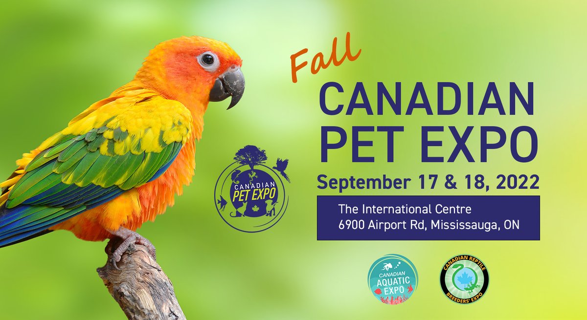 exoticwingspets's tweet photo. Exotic Wings &amp; Pet Things Inc. is attending the Fall Canadian Pet Expo on Sept 17 &amp; 18, 2022! Visit us at booth #602-605. We offer in-person shopping, pre-order pickups and bird grooming by appointment only at our booth! See you there!  https://t.co/uMp8fUqfLZ
#canadianpetexpo https://t.co/6X8ygjjABk