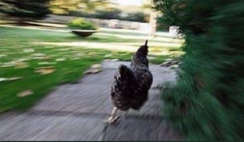 Naitwa kwetu tweet media