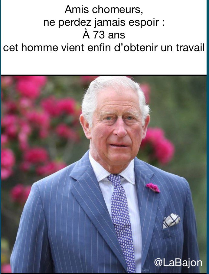 La Bajon (@labajon) on Twitter photo 