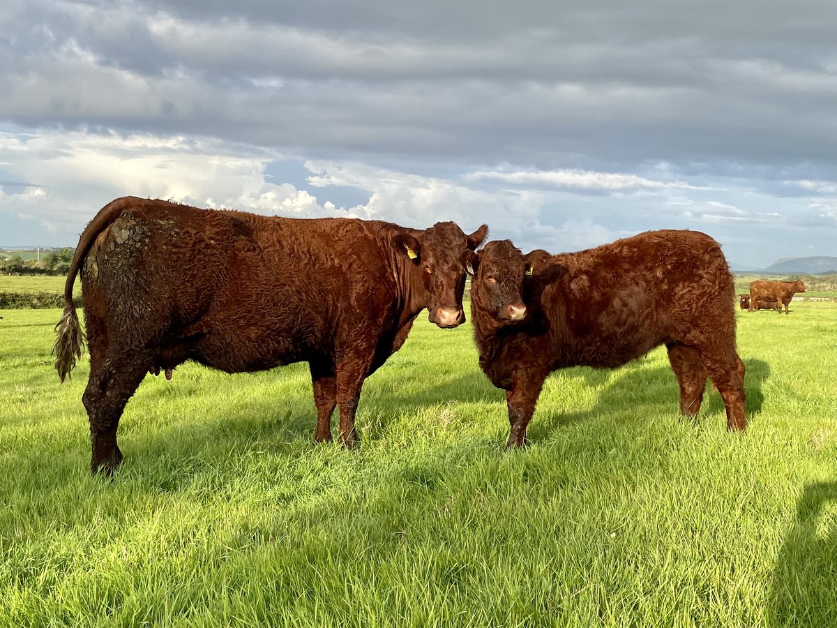 Niall Hunt tweet media