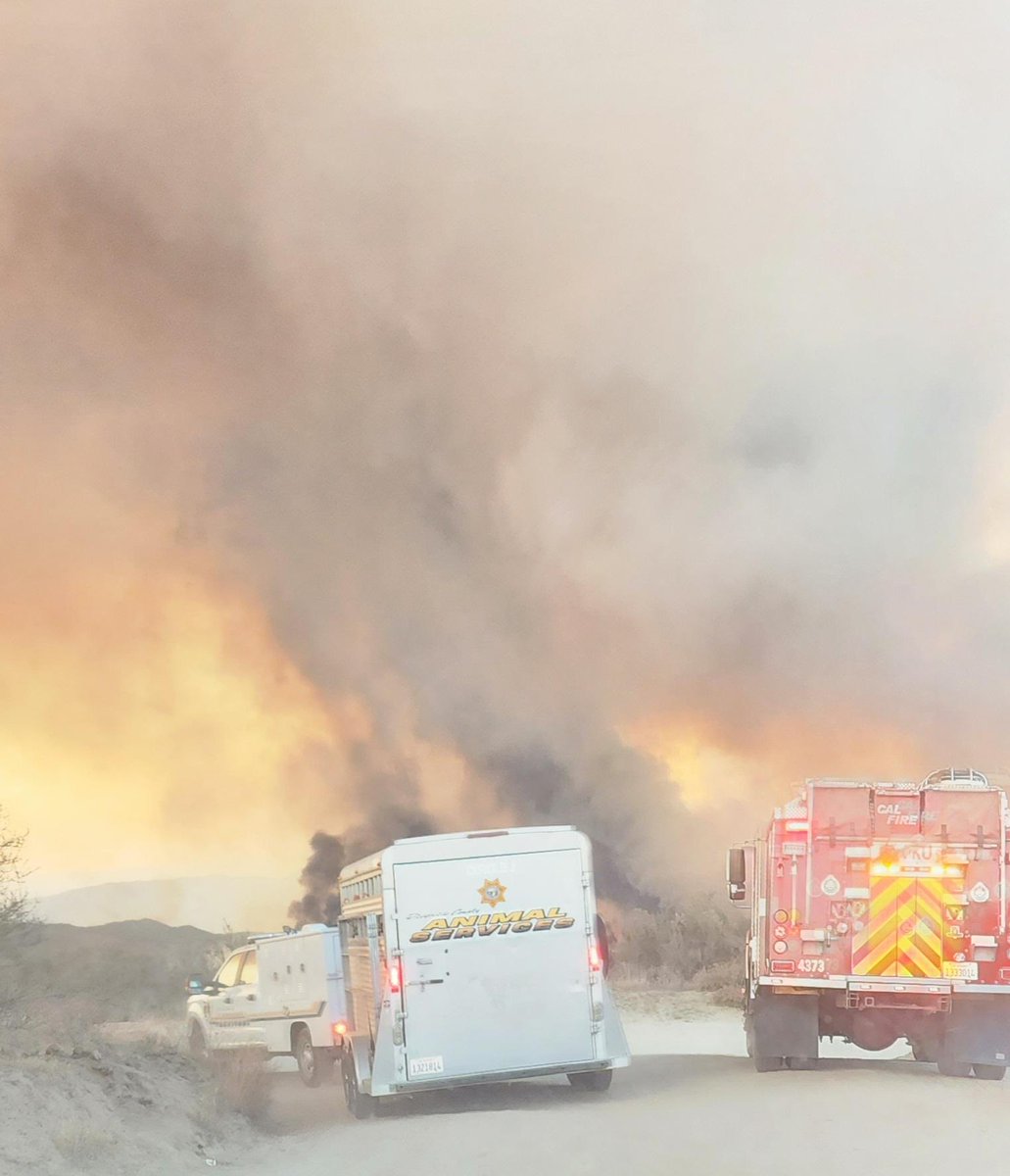 helpinRIVcoPETS's tweet image. We are now caring for 68 #FairviewFire animals at the San Jacinto Valley Animal Campus — but nowhere near capacity! Plz note: we have plenty of space, despite conflicting reports. Pets &amp;amp; livestock. If U R in evac zone: call 951-358-7387. ⁦@CALFIRERRU⁩ ⁦@RivCoReady⁩
