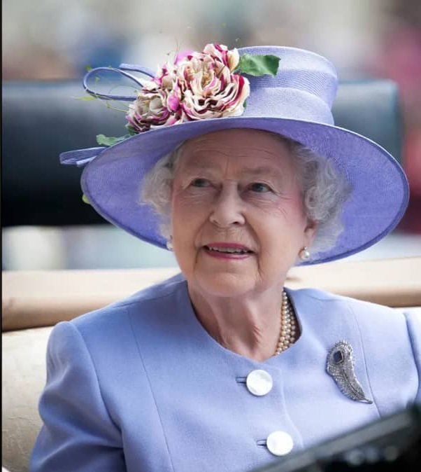 Traditional Bampton Morris Dancers tweet media