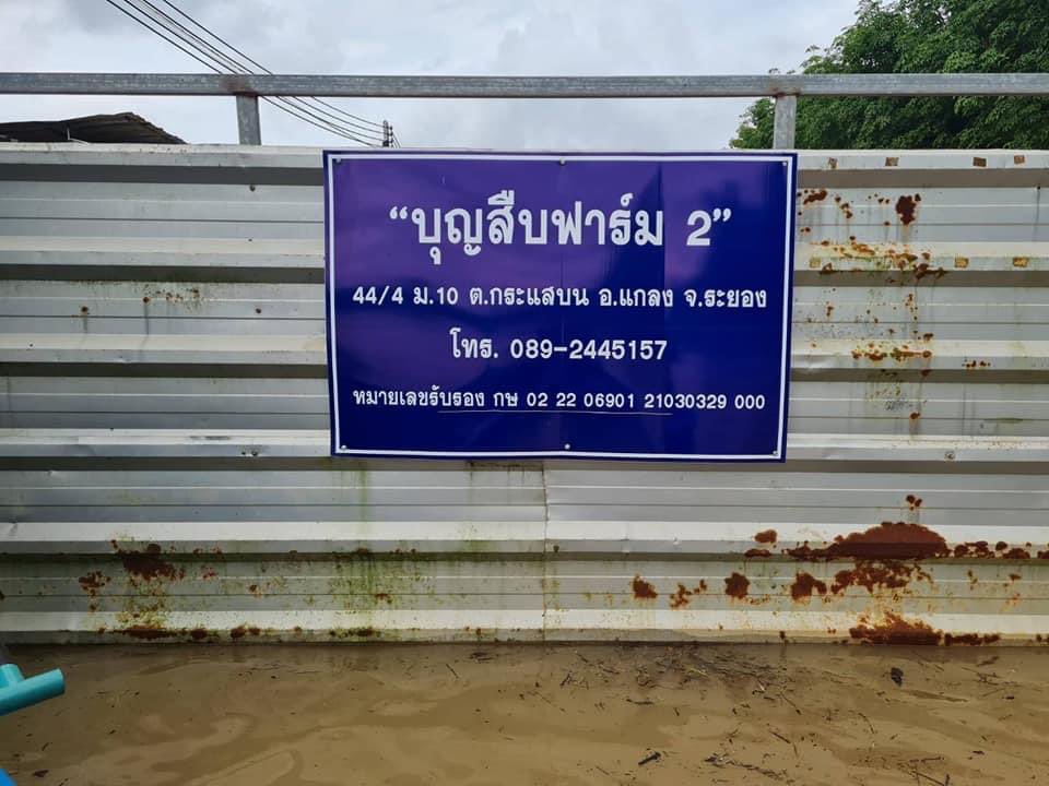 xloohsehunlx's tweet photo. ตอนนี้ฟาร์มไก่ที่บ้านตายไป140,000เลยค่ะ  มูลค่าไม่ต่ำกว่า10ล้านบาท รัฐพอจะช่วยอะไรได้บ้างไหมคะ🥹ตอนนี้สงสารพ่อกับแม่มากๆเลยค่ะ #น้ําท่วมระยอง #น้ำท่วม https://t.co/GjHHuYWHkN