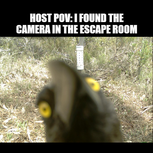 #theescapeeffect #escapegame #escaperoom #escaperoomenthusiasts #escapememe #memes