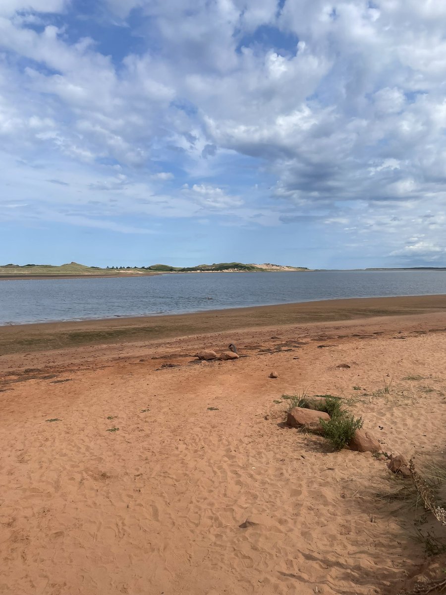 Fantastic views, vibe and food @fin_folk_food and <a href="/blackbushpei/">Blackbush Beach Resort</a> #pei