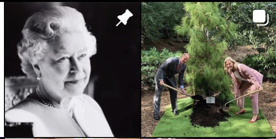 breakble_heaven's tweet image. royal family’s instagram right now, oh this is BAD