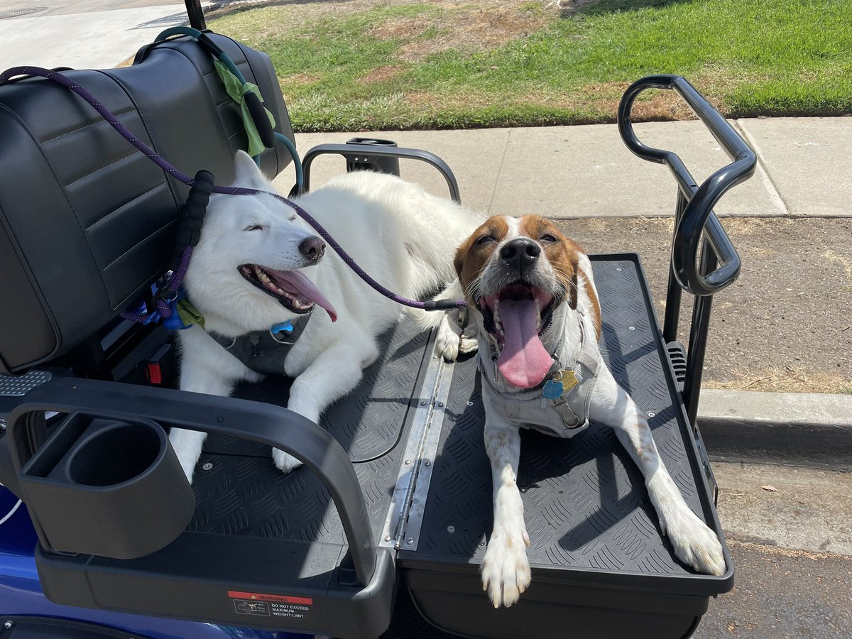 AlexJohnsonSD's tweet photo. @SeanFennessey 100% in on the golf cart hottest take! I live in Pacific Beach, San Diego and bought a street legal one a few months ago. They’re everywhere now. I rarely drive my truck! In 5 years communities like ours will be a majority golf carts. https://t.co/ylDI5GtVx4