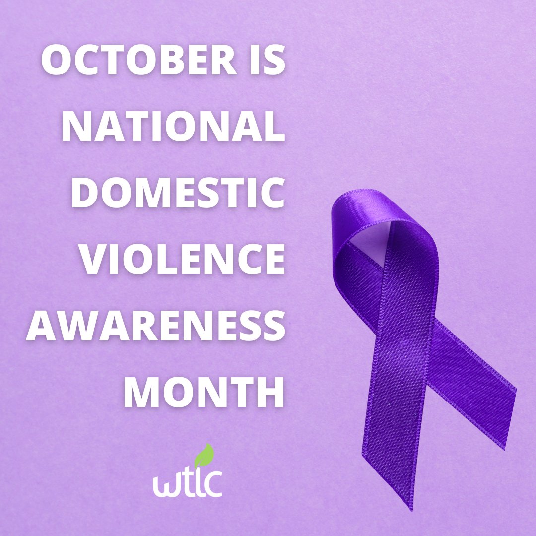 October is Domestic Violence Awareness Month (#DVAM), &amp; YOU can make a difference. Join us in commemorating DVAM by spreading the message that no matter who or where we are, we are capable of making change to end domestic violence in the places that we live, work, &amp; play.