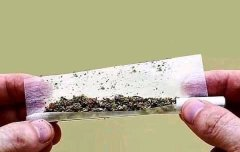 SpaceCannabis 🍃 (@spacecannabis) on Twitter photo 